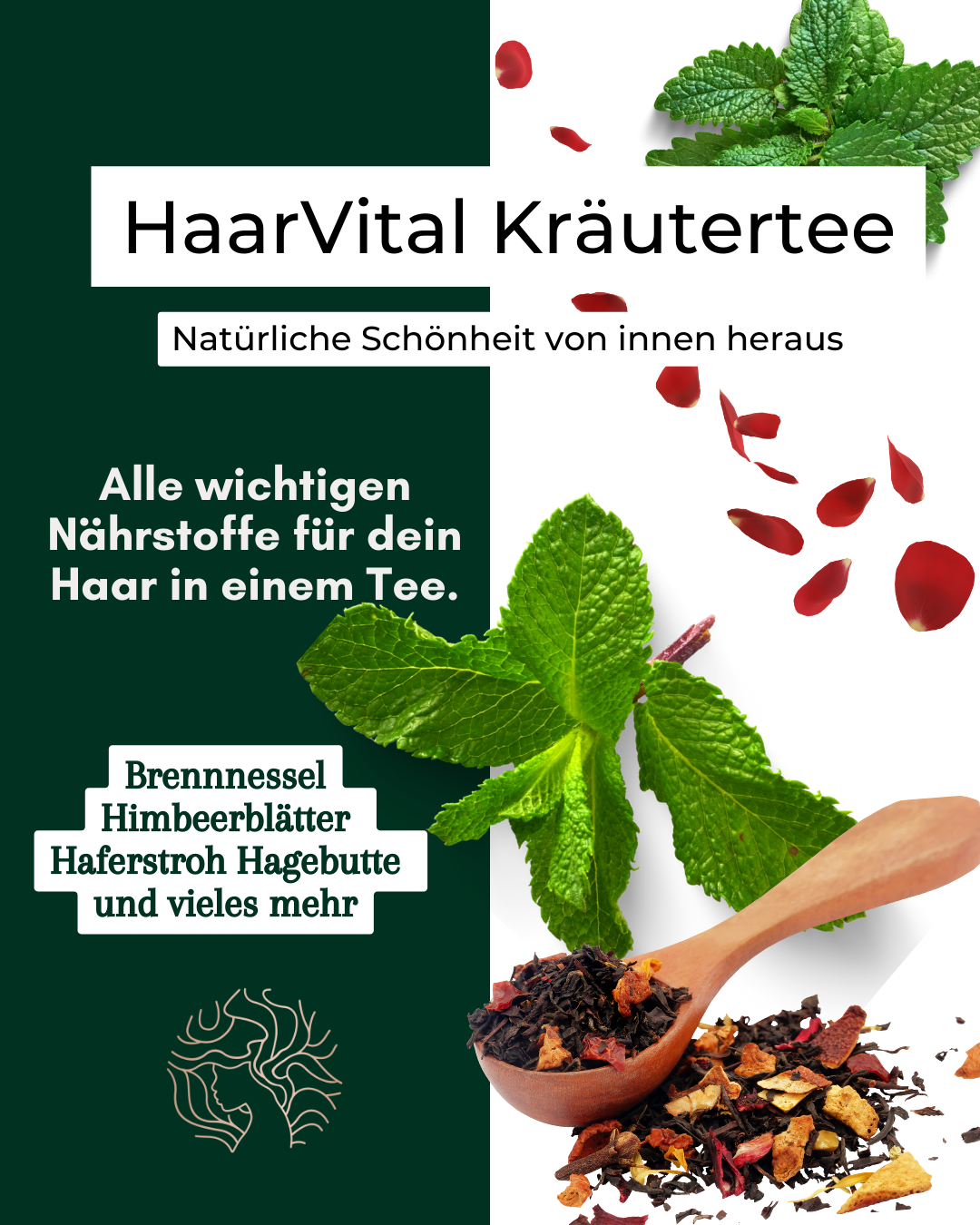 HaarVital Kräutertee (Pröbchen)